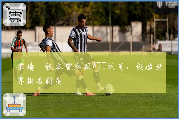 梁靖崑张本智和获WTT认可，创造世界排名新高
