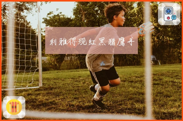 利雅得现红黑猎鹰手